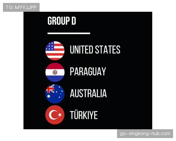 世界杯美国队D组关键战役解析